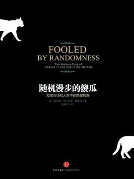 《随机漫步的傻瓜》PDF|ePub|mobi|azw3电子书下载