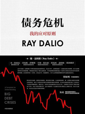 《债务危机》PDF|ePub|mobi|azw3电子书下载