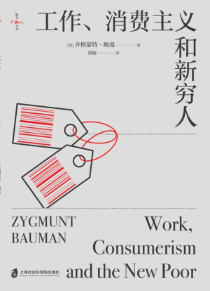 《工作、消费主义和新穷人》PDF|ePub|mobi|azw3电子书下载