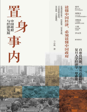 《置身事内》PDF|ePub|mobi|azw3|txt电子书下载
