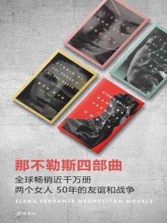 《那不勒斯四部曲》全四册PDF|ePub|mobi|azw3电子书下载