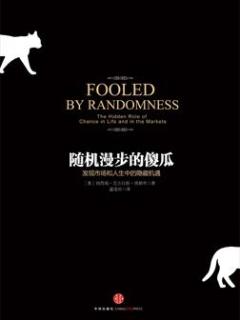 《随机漫步的傻瓜》PDF|ePub|mobi|azw3电子书下载